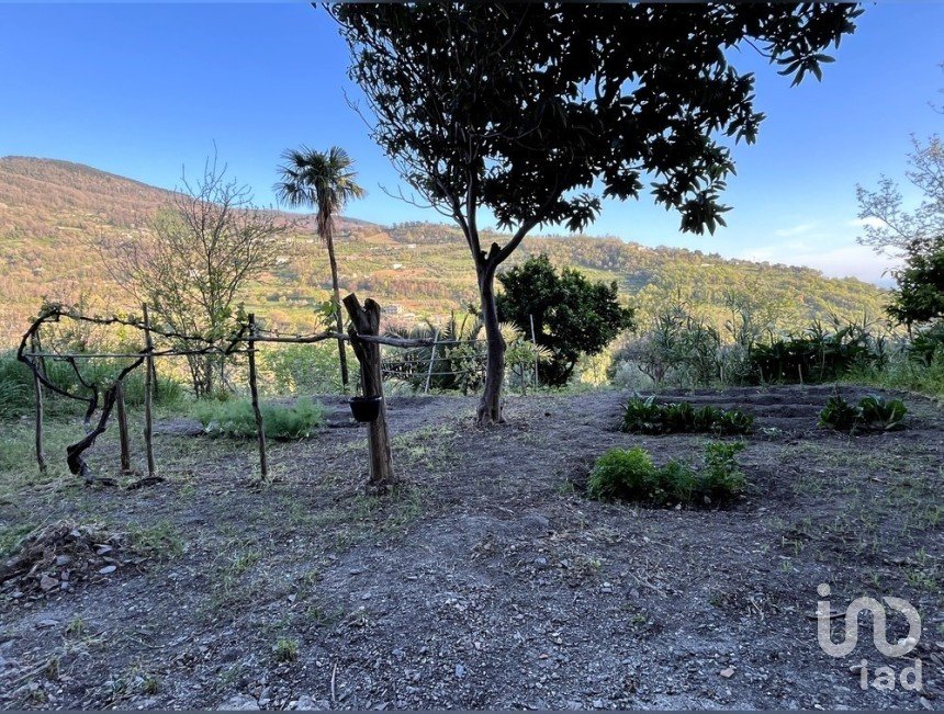 Bilocale di 53 m² a - (87030)