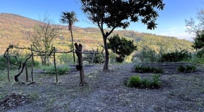 Bilocale di 53 m² a - (87030)