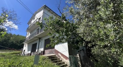 Rifugio 10 locali di 300 m² in Monte Urano (63813)