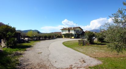 Pizzeria di 1.152 m² in Rivoli Veronese (37010)