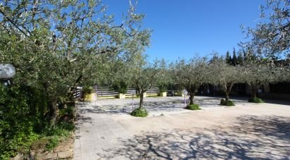 Pizzeria di 1.152 m² in Rivoli Veronese (37010)