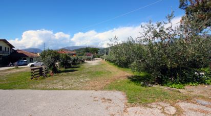 Pizzeria di 1.152 m² in Rivoli Veronese (37010)