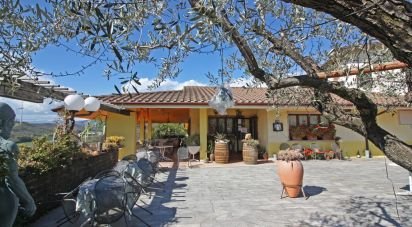 Pizzeria di 1.152 m² in Rivoli Veronese (37010)