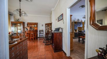 Casa indipendente / Villa 5 locali di 319 m² in Migliaro (44020)