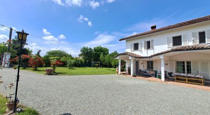 Casale 17 locali di 362 m² in Masio (15024)