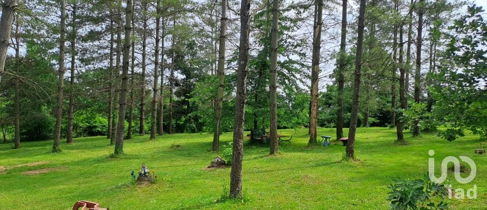 Casale 17 locali di 362 m² in Masio (15024)