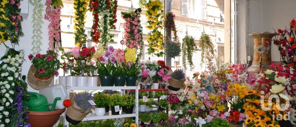 Shop / premises commercial of 500 m² in Genova (16151)