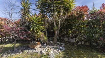 Trilocale di 97 m² a Sirolo (60020)