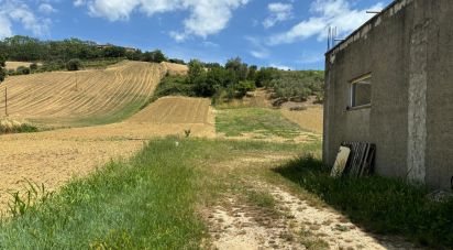 Terreno di 1.450 m² in Tortoreto (64018)