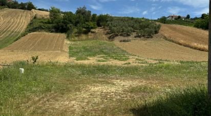 Terreno di 1.450 m² in Tortoreto (64018)