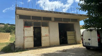 Terreno di 1.450 m² in Tortoreto (64018)