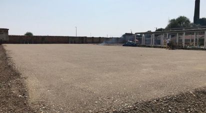 Varie superfici di 4.000 m² in Vinovo (10048)