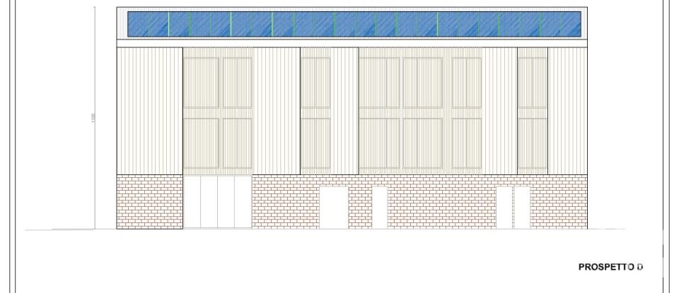 Other surface of 4,000 m² in Vinovo (10048)