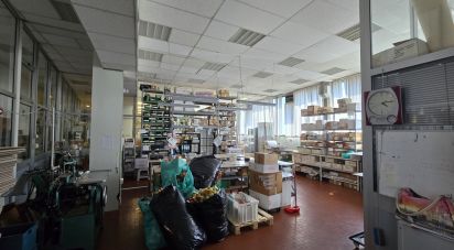 Warehouse of 681 m² in Genova (16153)