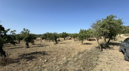 Terreno di 26.255 m² in Avola (96012)