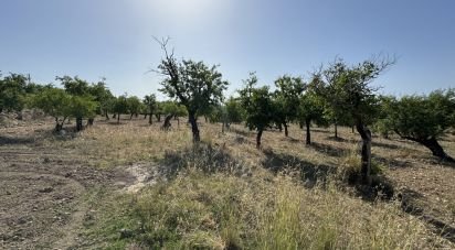 Terreno di 26.255 m² in Avola (96012)