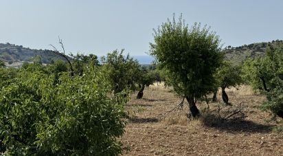 Terreno di 26.255 m² in Avola (96012)
