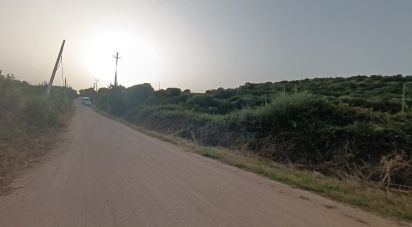 Terreno di 30.754 m² in Olbia (07026)