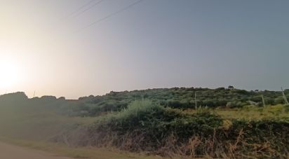 Terreno di 30.754 m² in Olbia (07026)