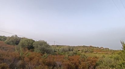 Terreno di 30.754 m² in Olbia (07026)