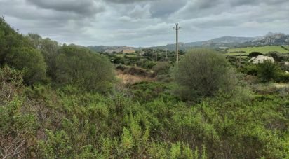 Terreno di 30.754 m² in Olbia (07026)