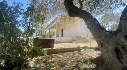 Casale 3 locali di 67 m² in Villa Castelli (72029)