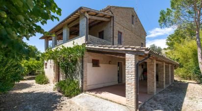 Rustico 0 locali di 420 m² in Monte San Pietrangeli (63816)