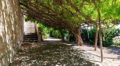 Rustico 0 locali di 420 m² in Monte San Pietrangeli (63816)