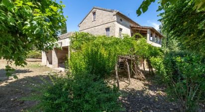 Rustico 0 locali di 420 m² in Monte San Pietrangeli (63816)