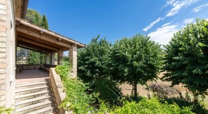 Rustico 0 locali di 420 m² in Monte San Pietrangeli (63816)