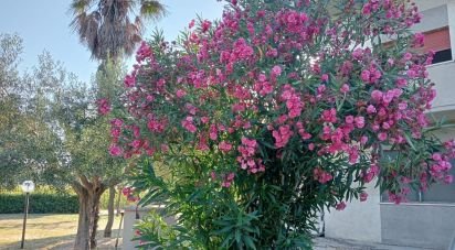 Casale 10 locali di 630 m² in Fano (61032)