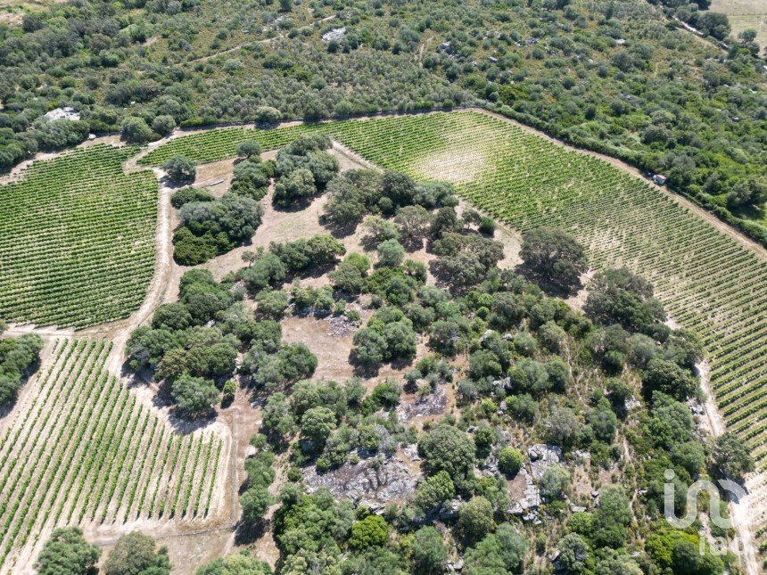 Terreno di 118.743 m² in Telti (07020)