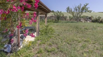 Casa indipendente / Villa 9 locali di 151 m² in Cingoli (62011)