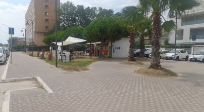 Trilocale di 79 m² a Roseto degli Abruzzi (64026)