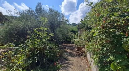 Casa indipendente / Villa 2 locali di 54 m² in Cefalù (90015)