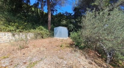 Casa indipendente / Villa 2 locali di 54 m² in Cefalù (90015)