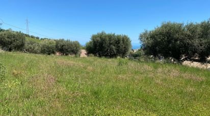 Terreno di 1.500 m² in Colonnella (64010)
