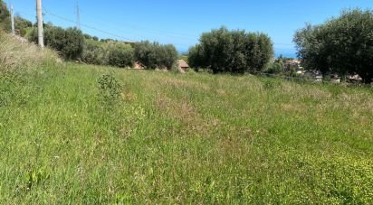 Terreno di 1.500 m² in Colonnella (64010)