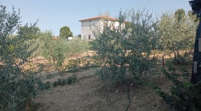 Farm land of 7,500 m² in Monte Porzio (61040)