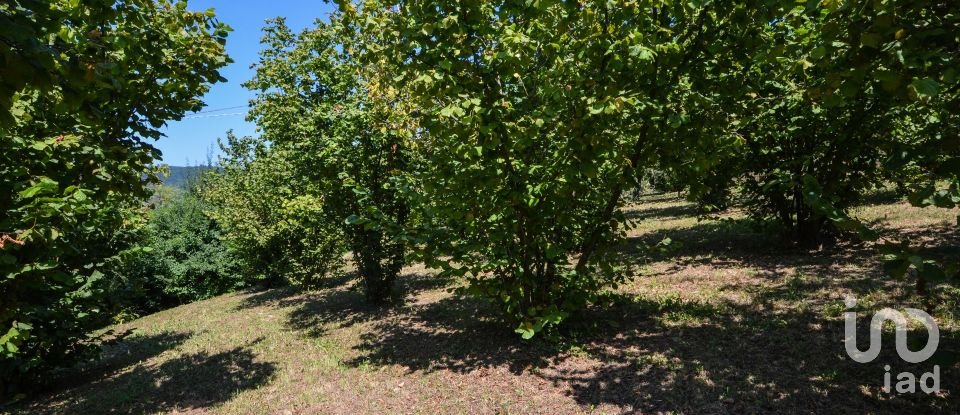 Townhouse 7 rooms of 205 m² in Saliceto (12079)