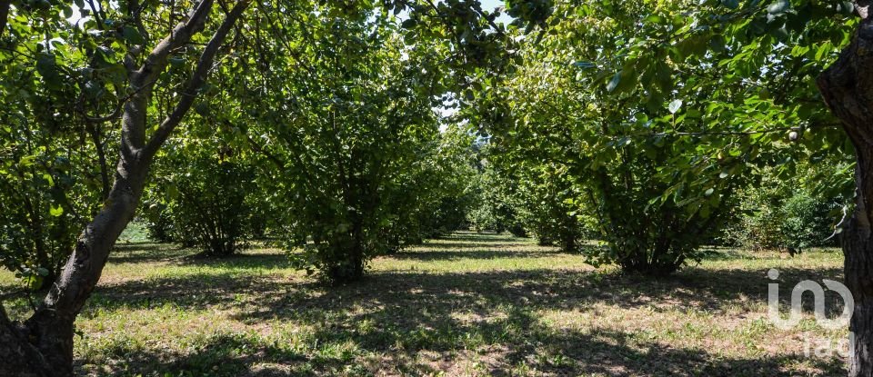 Townhouse 7 rooms of 205 m² in Saliceto (12079)