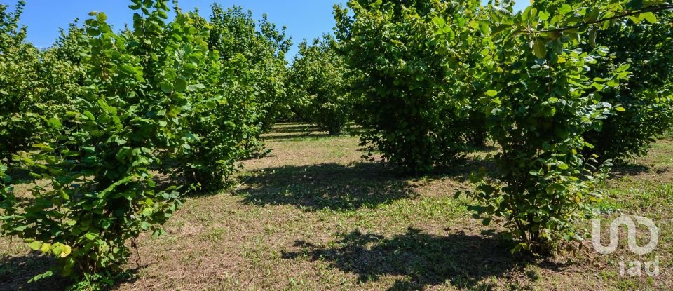 Townhouse 7 rooms of 205 m² in Saliceto (12079)