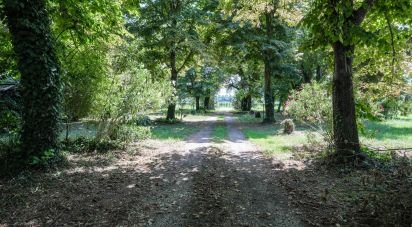 Casa indipendente / Villa 6 locali di 350 m² in Ostellato (44020)