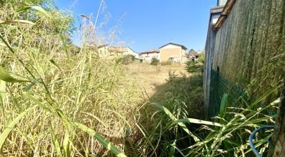 Terreno di 1.443 m² in Guidizzolo (46040)
