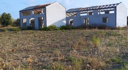 Terreno di 5.000 m² in Sorso (07037)