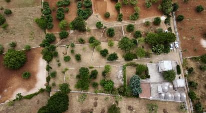 Trullo 15 locali di 244 m² in Locorotondo (70010)