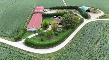 Casa indipendente / Villa 4 locali di 222 m² in Codigoro (44021)