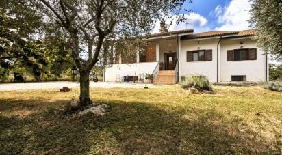 Farm 0 rooms of 240 m² in Sulmona (67039)