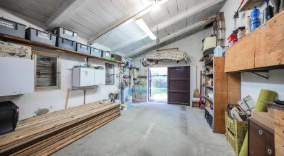 Casa indipendente / Villa 5 locali di 199 m² in Bondeno (44041)