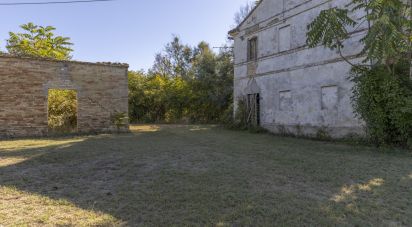 Townhouse 0 rooms of 180 m² in Castelfidardo (60022)